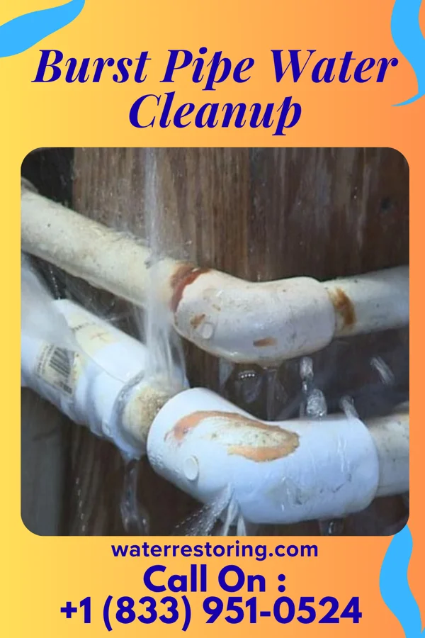 Burst Pipe Water Cleanup in Columbus AFB, MS