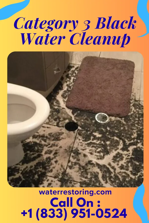 Category 3 Black Water Cleanup in Columbus AFB, MS