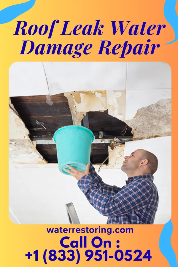 Roof Leak Water Damage Repair in Columbus AFB, MS